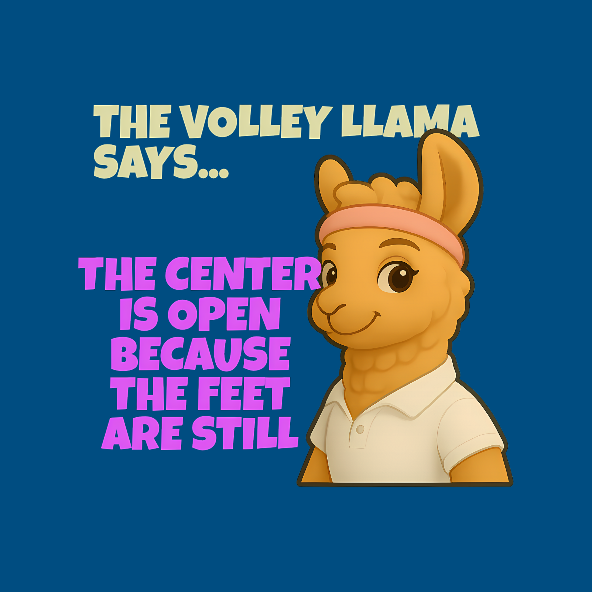 Volley Llama - Center Is Open - Women's Relaxed Tee